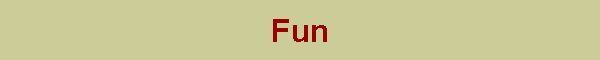 Fun
