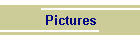 Pictures