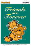 gf20.gif (28206 bytes)