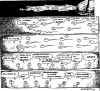 wrong_way_sperm.jpg (181752 bytes)
